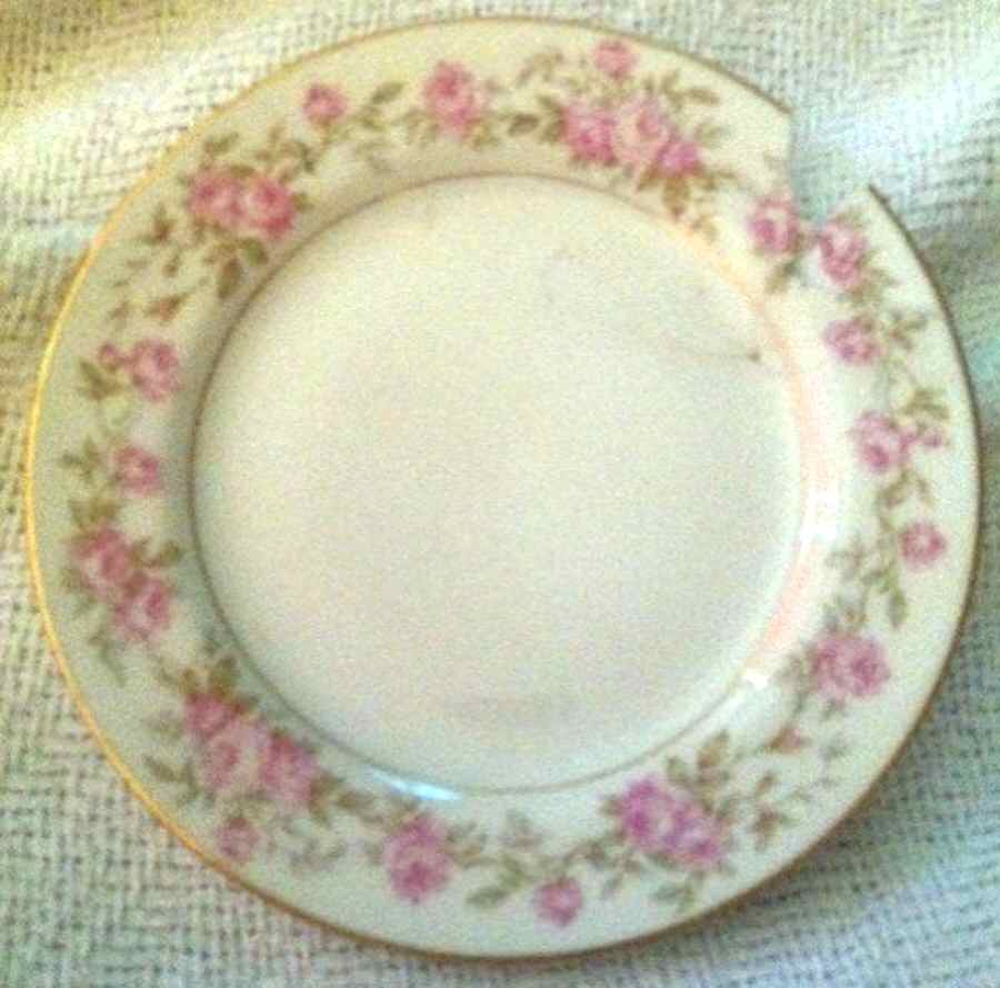 Schleiger 738 Dinner Plate by Haviland-1