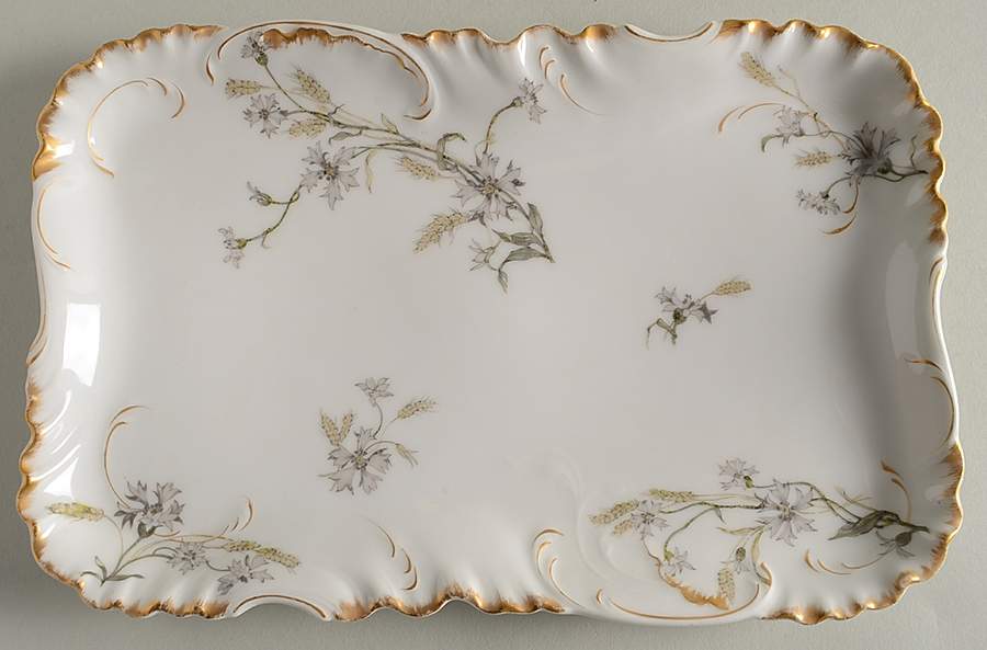 Schleiger 73f 10" Rectangular Serving Platter by Haviland-1