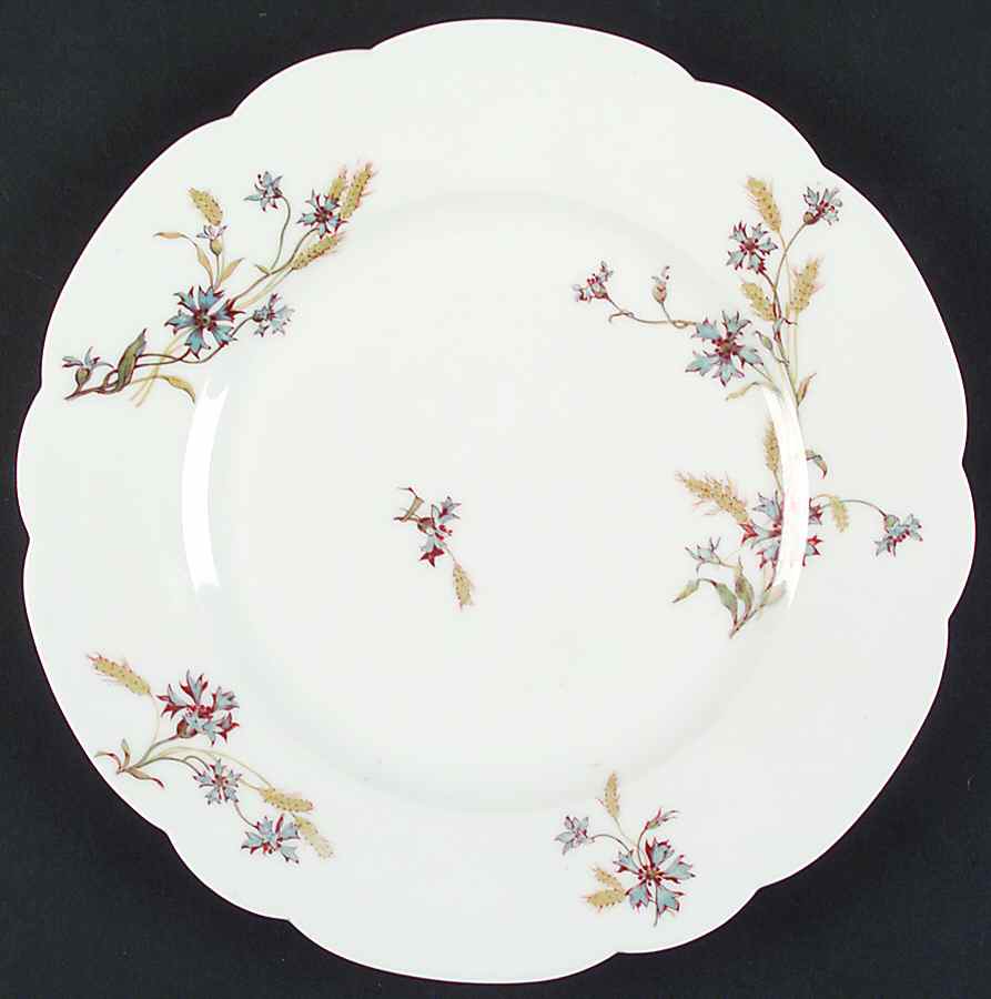 Schleiger 73G Dinner Plate by Haviland-1