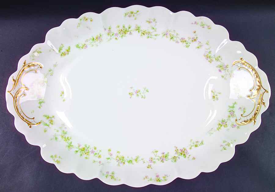 Schleiger 74 18" Oval Serving Platter by Haviland-1