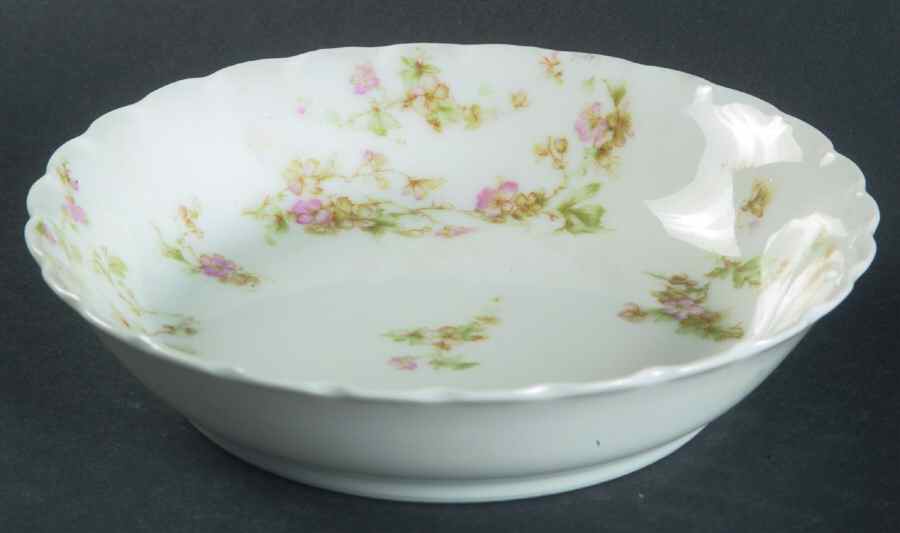 Schleiger 74 Fruit/Dessert (Sauce) Bowl by Haviland-1