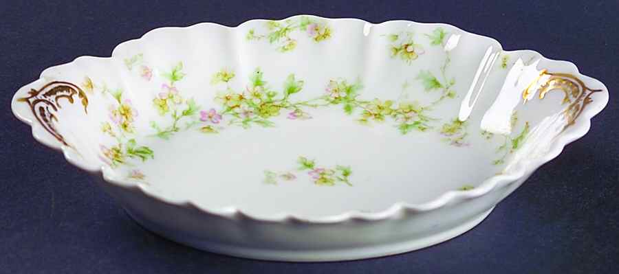 Schleiger 74 Relish by Haviland-1