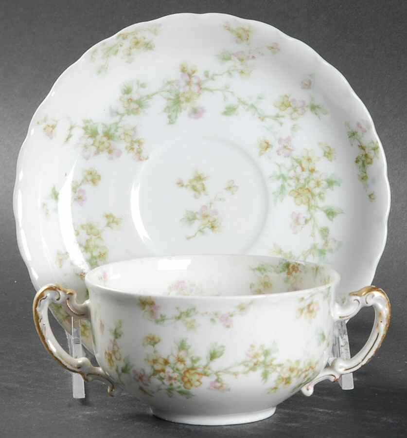 Schleiger 74 Flat Bouillon Cup & Saucer by Haviland-1