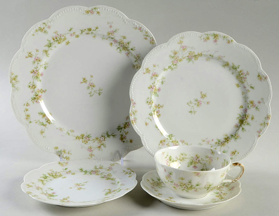 Schleiger 74A 5 Piece Place Setting by Haviland-1