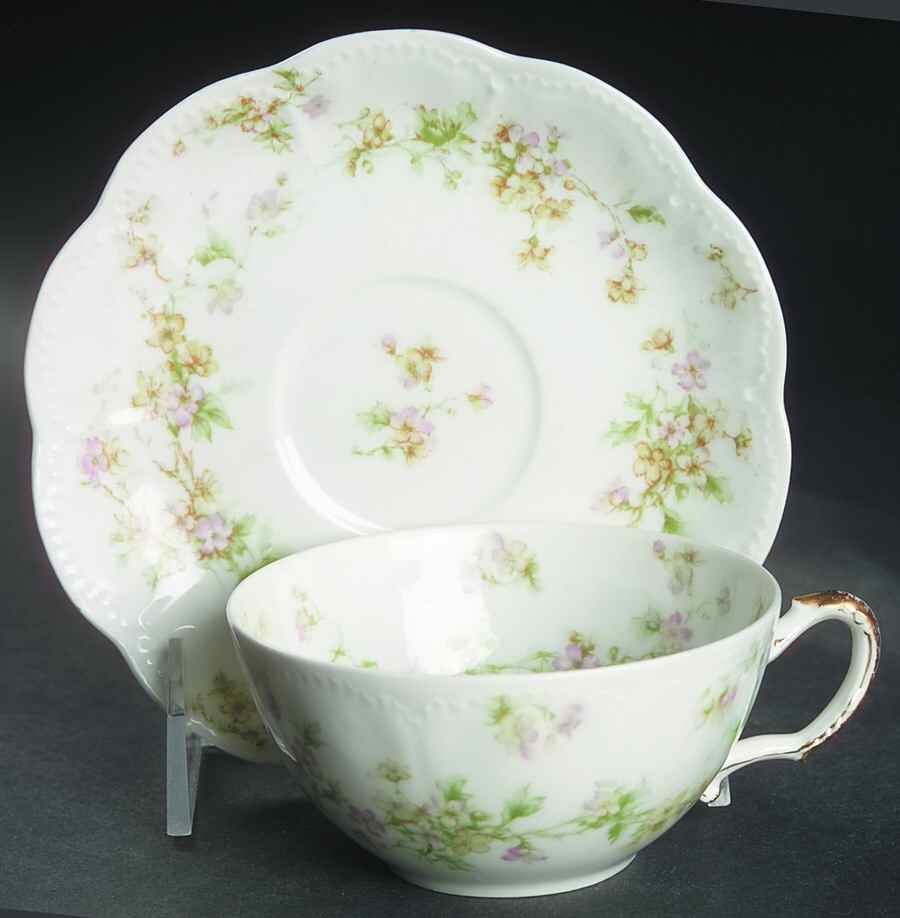 Schleiger 74A Flat Cup & Saucer Set by Haviland-1