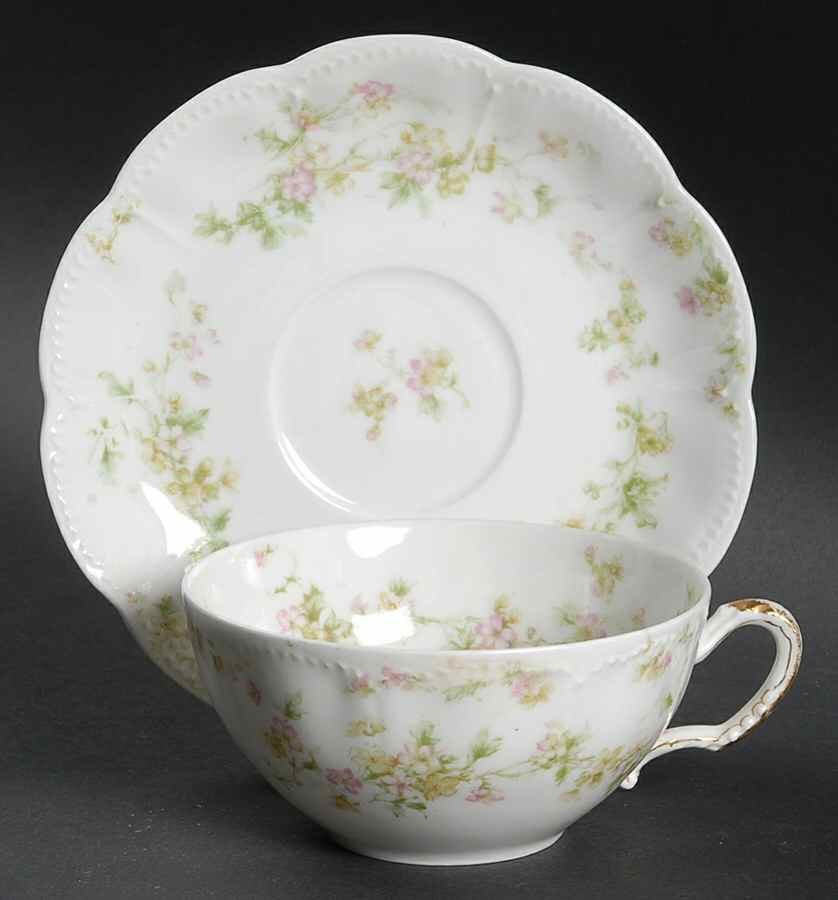 Schleiger 74A Flat Cup & Saucer Set by Haviland-1
