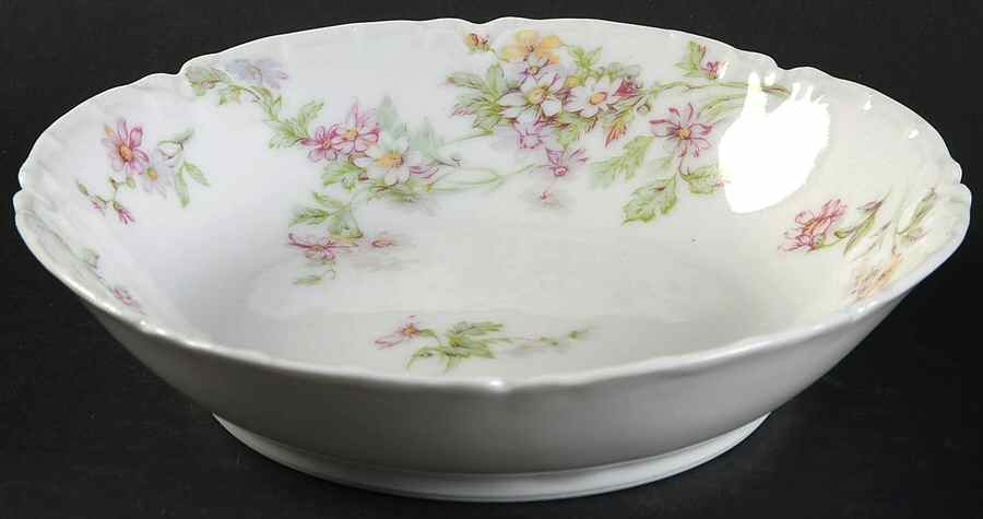 Schleiger 75p Fruit/Dessert (Sauce) Bowl by Haviland-1