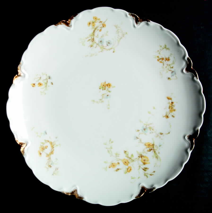 Schleiger 78 Cake Plate by Haviland-1