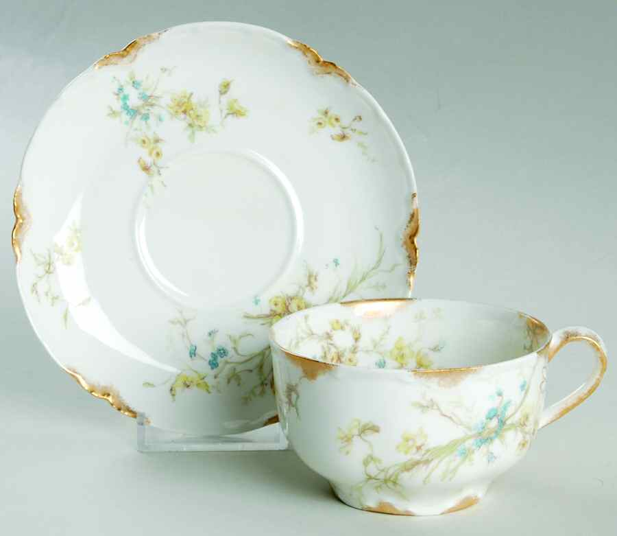 Schleiger 78 Flat Cup & Saucer Set by Haviland-1