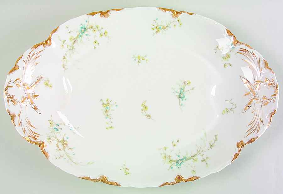Schleiger 78 17" Oval Serving Platter by Haviland-1