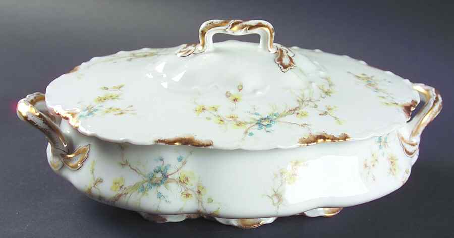 Schleiger 78 Oval Covered Vegetable by Haviland-1