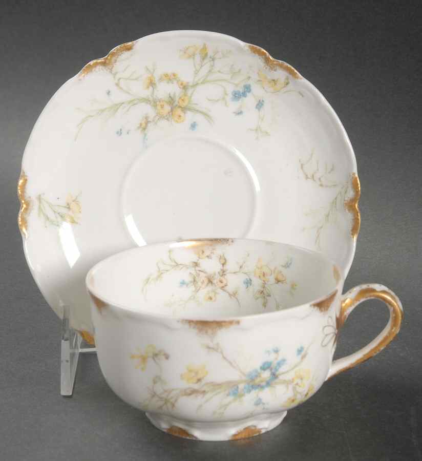 Schleiger 78 Flat Cup & Saucer Set by Haviland-1