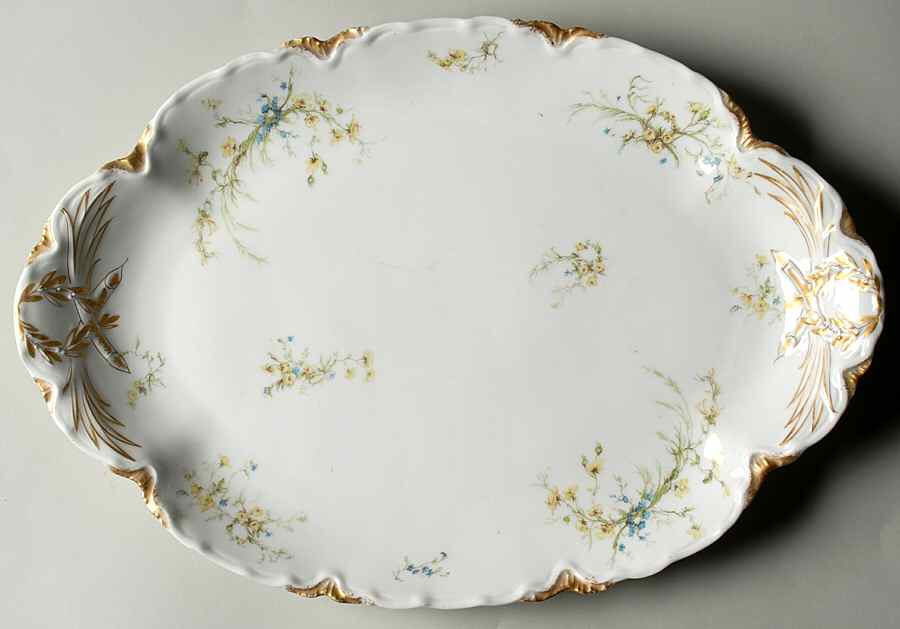 Schleiger 78 15" Oval Serving Platter by Haviland-1