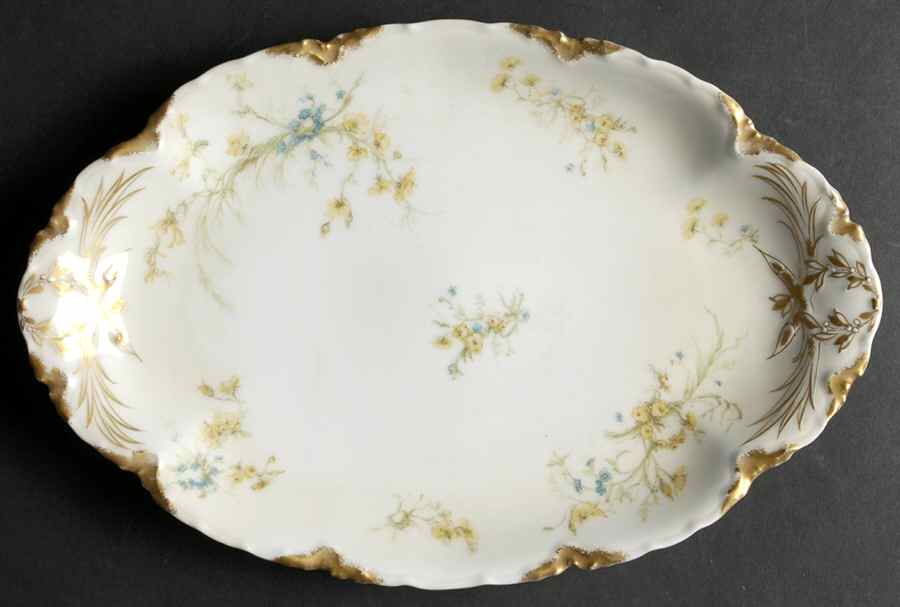 Schleiger 78 11" Oval Serving Platter by Haviland-1