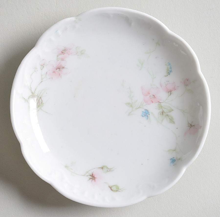 Schleiger 78D Butter Pat by Haviland-1