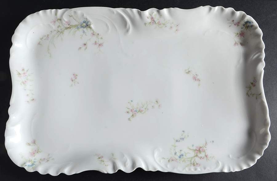 Schleiger 78D 14" Rectangular Serving Platter by Haviland-1