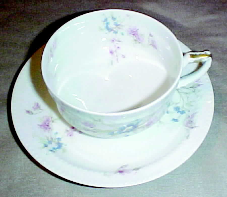 Schleiger 78e Footed Cup & Saucer Set by Haviland-1