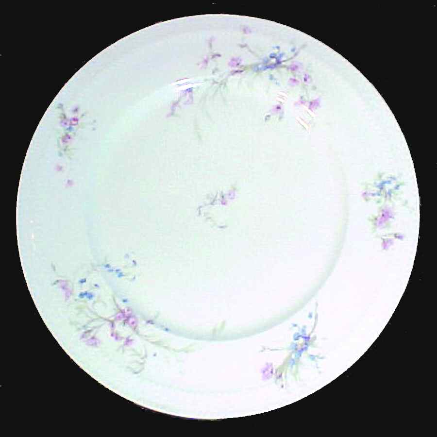 Schleiger 78e Dinner Plate by Haviland-1