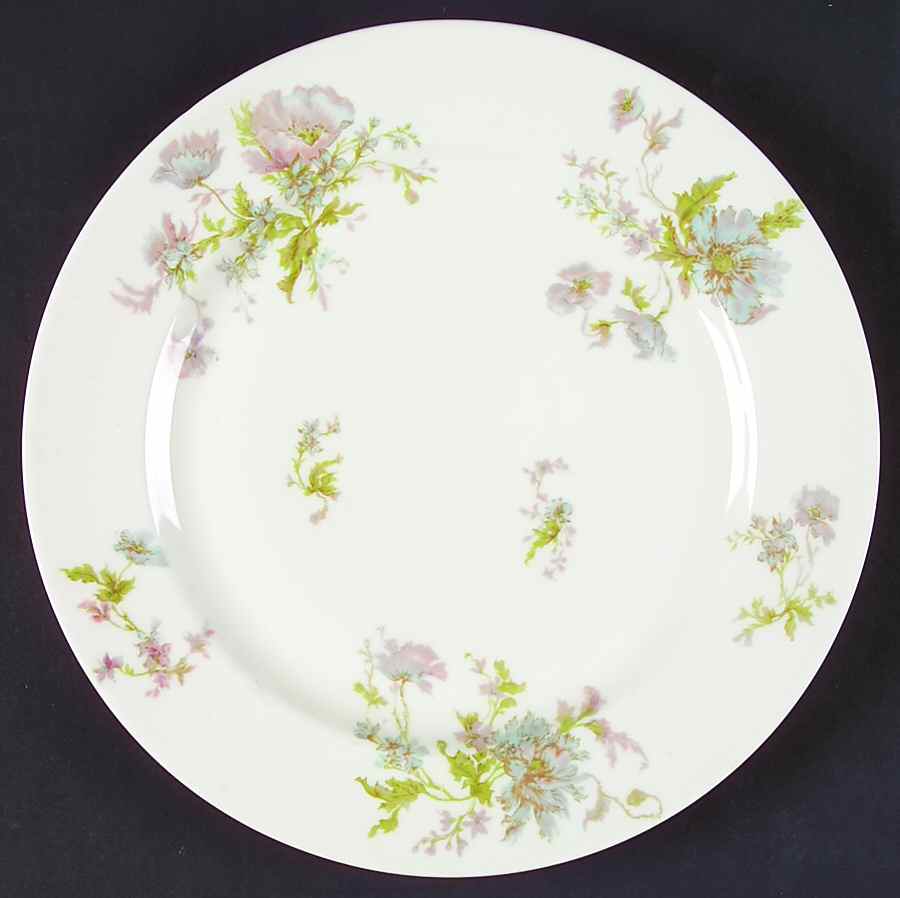 Schleiger 79 Dinner Plate by Haviland-1