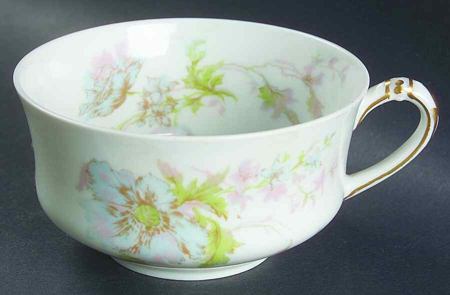 Schleiger 79 Flat Cup by Haviland-1