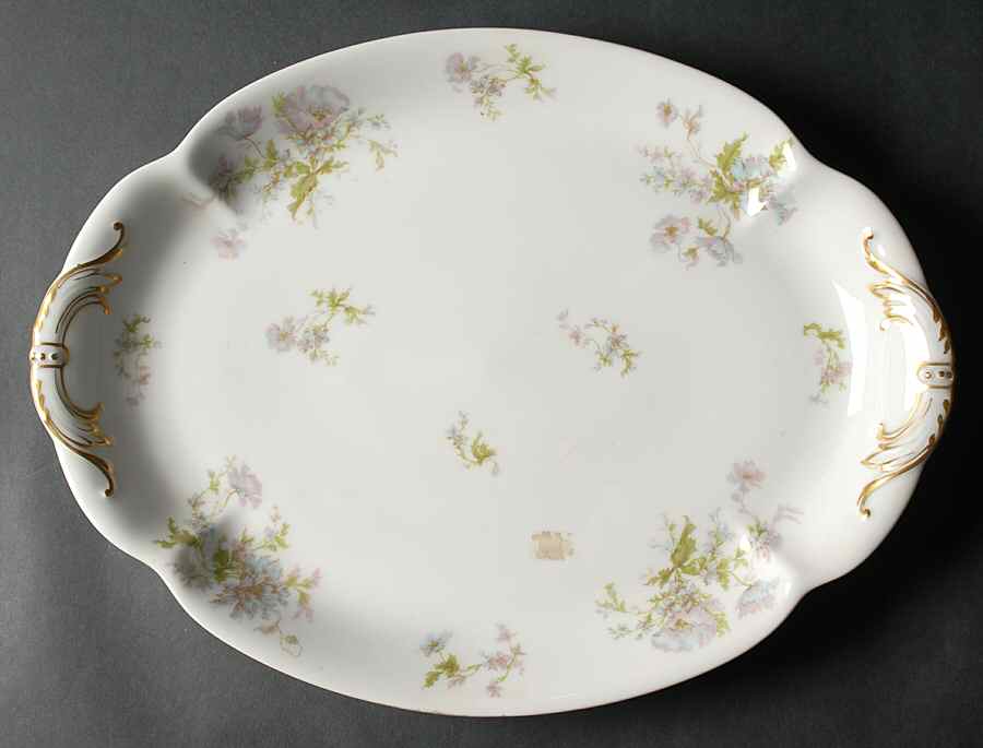 Schleiger 79 16" Oval Serving Platter by Haviland-1