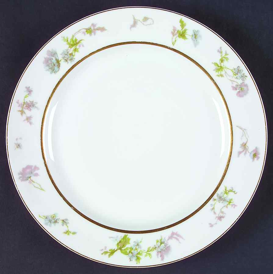 Schleiger 79g Dinner Plate by Haviland-1
