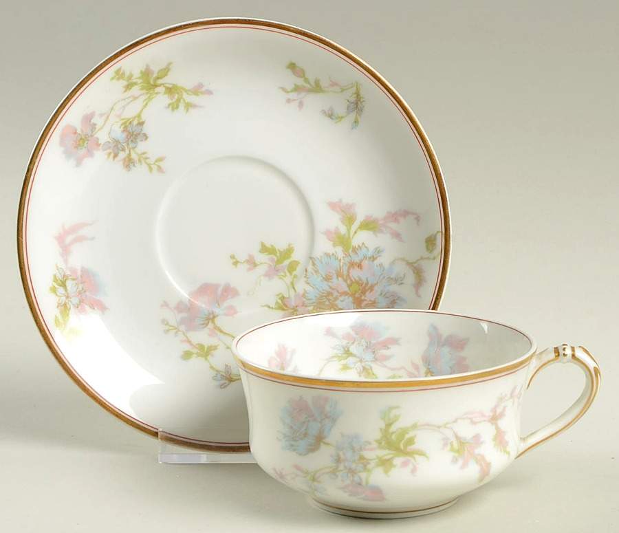 Schleiger 79h Flat Cup & Saucer Set by Haviland-1