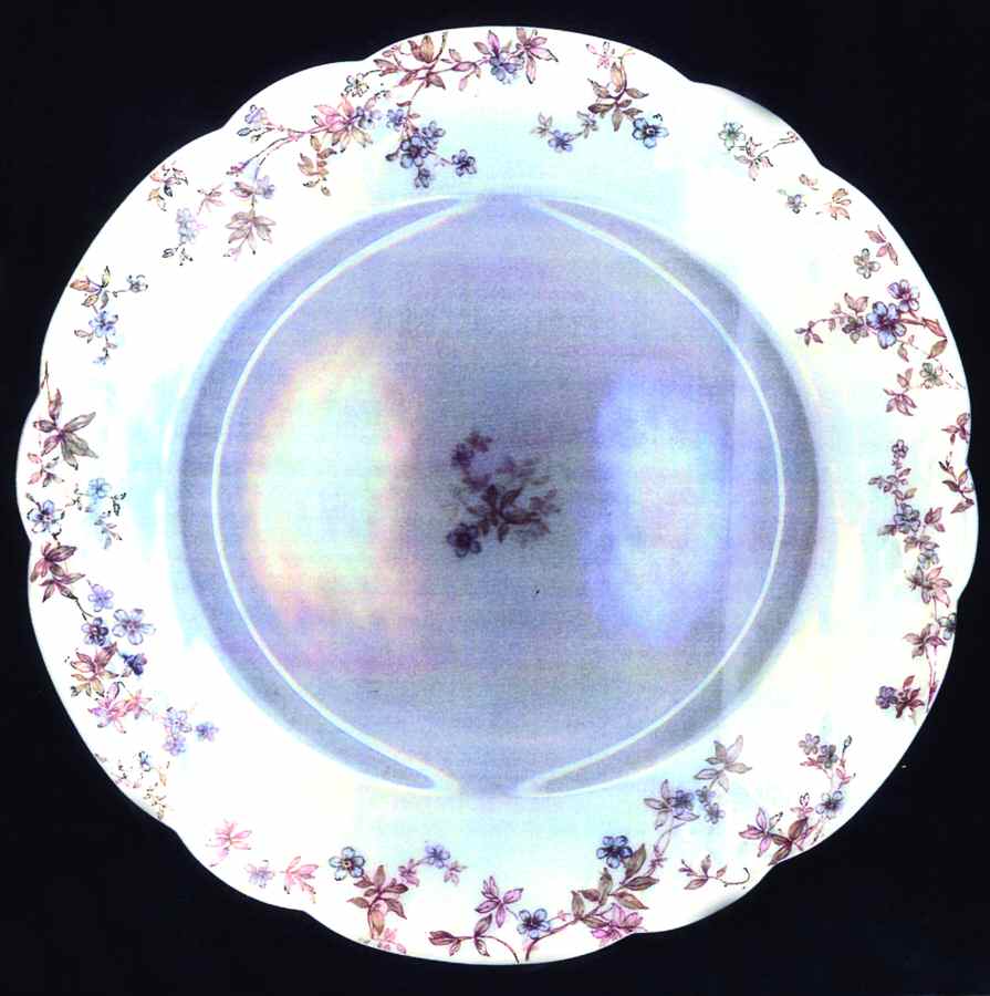 Schleiger 81 Dinner Plate by Haviland-1