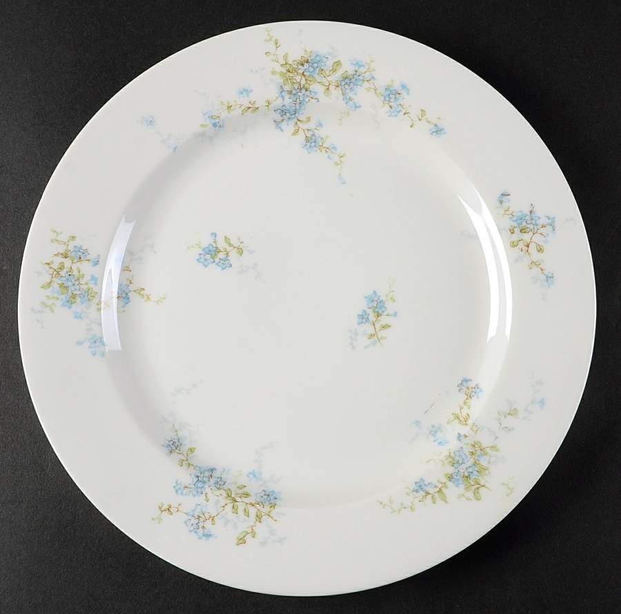 Schleiger 834c Dinner Plate by Haviland-1