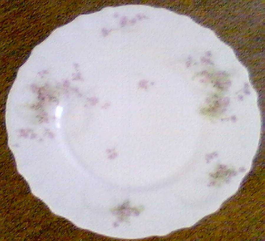 Schleiger 836 Salad Plate by Haviland-1