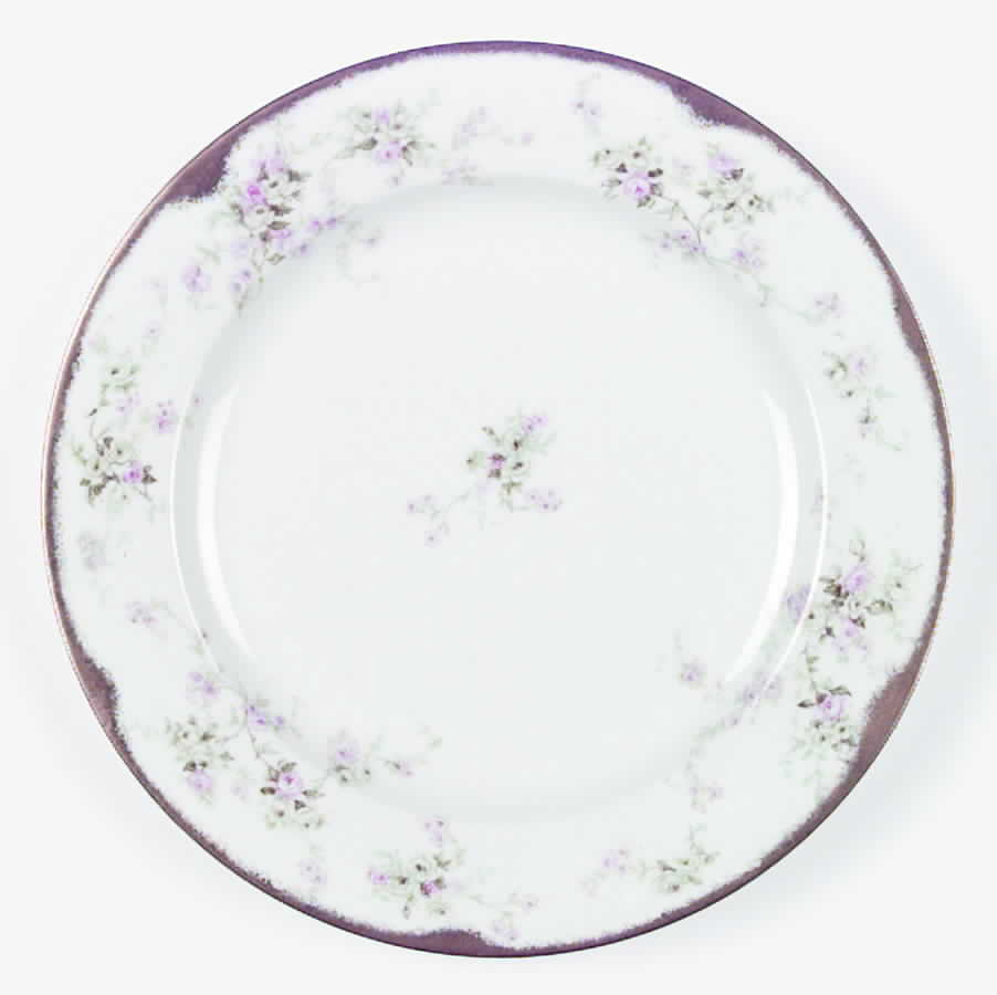 Schleiger 837a Dinner Plate by Haviland-1