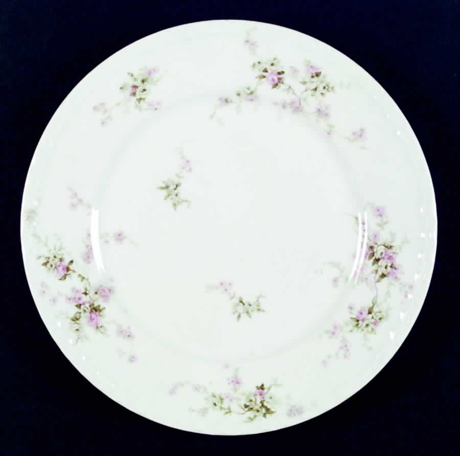 Schleiger 837c Dinner Plate by Haviland-1