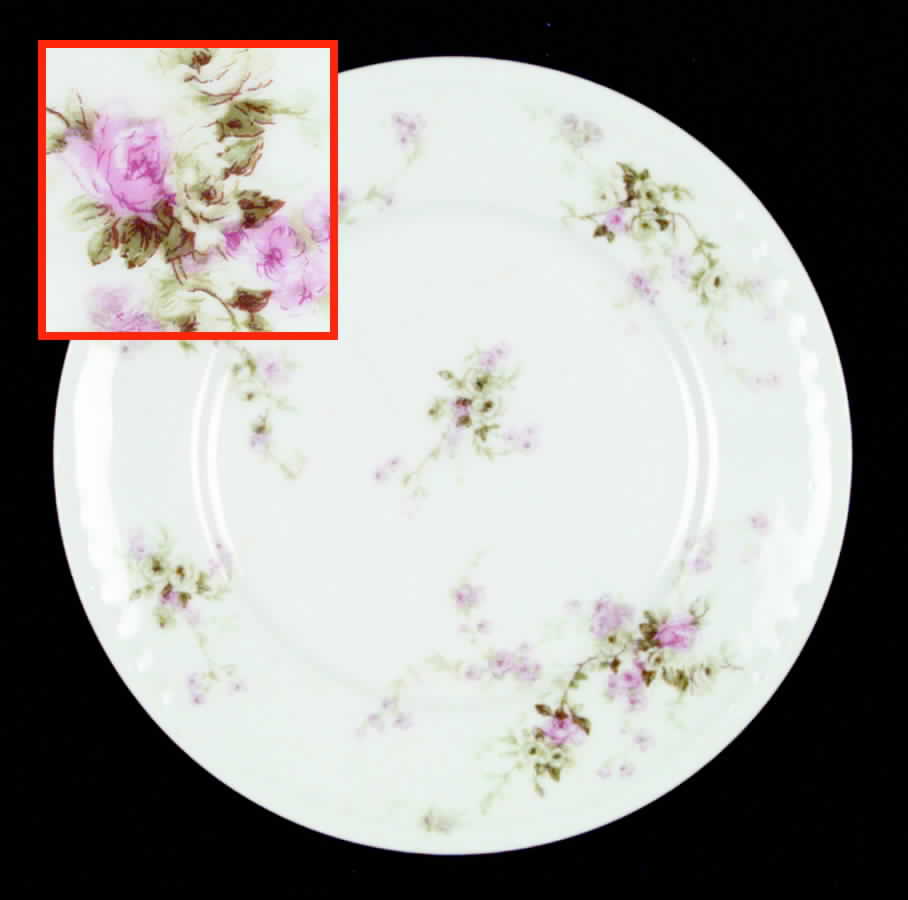Schleiger 837c Salad Plate by Haviland-1