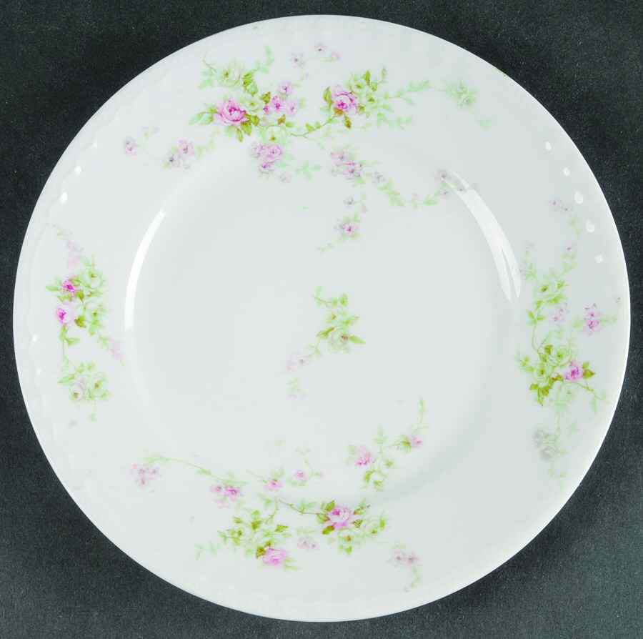 Schleiger 837c Salad Plate by Haviland-1