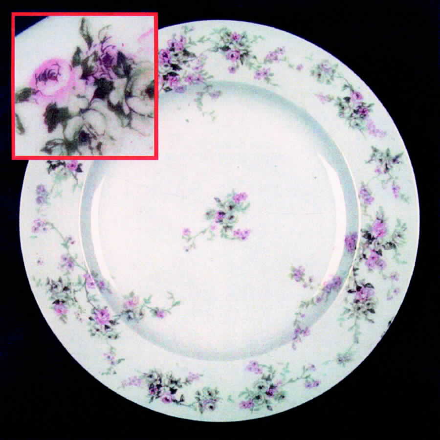 Schleiger 837d Dinner Plate by Haviland-1