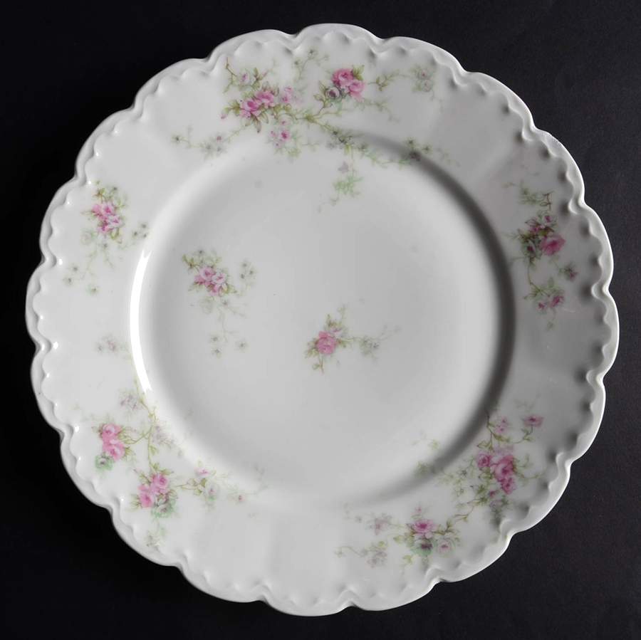 Schleiger 837k Dinner Plate by Haviland-1