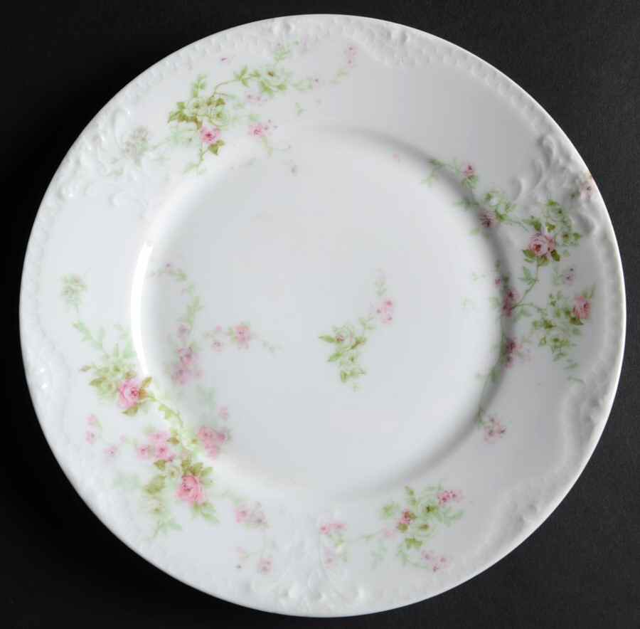 Schleiger 837l Salad Plate by Haviland-1