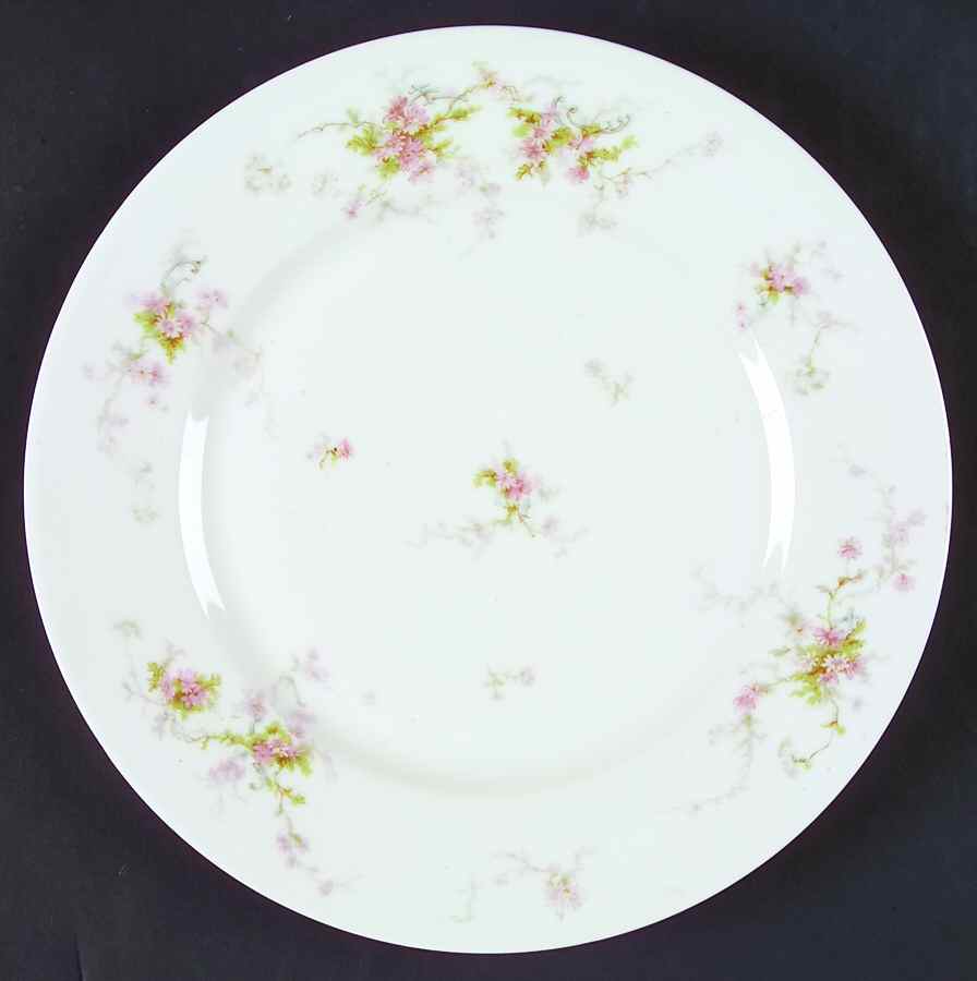 Schleiger 839 Dinner Plate by Haviland-1
