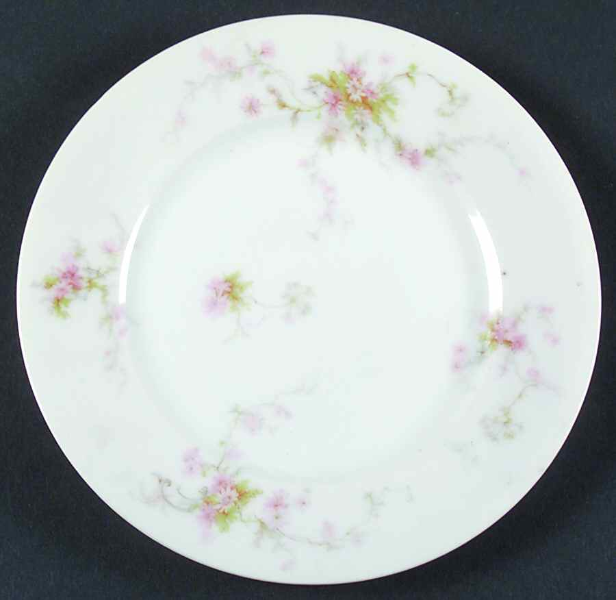 Schleiger 839 Bread & Butter Plate by Haviland-1