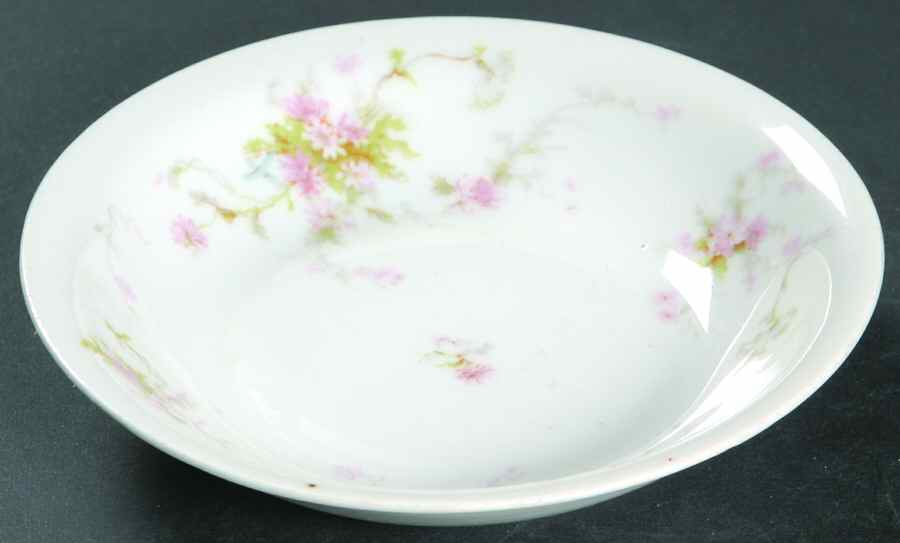 Schleiger 839 Fruit/Dessert (Sauce) Bowl by Haviland-1