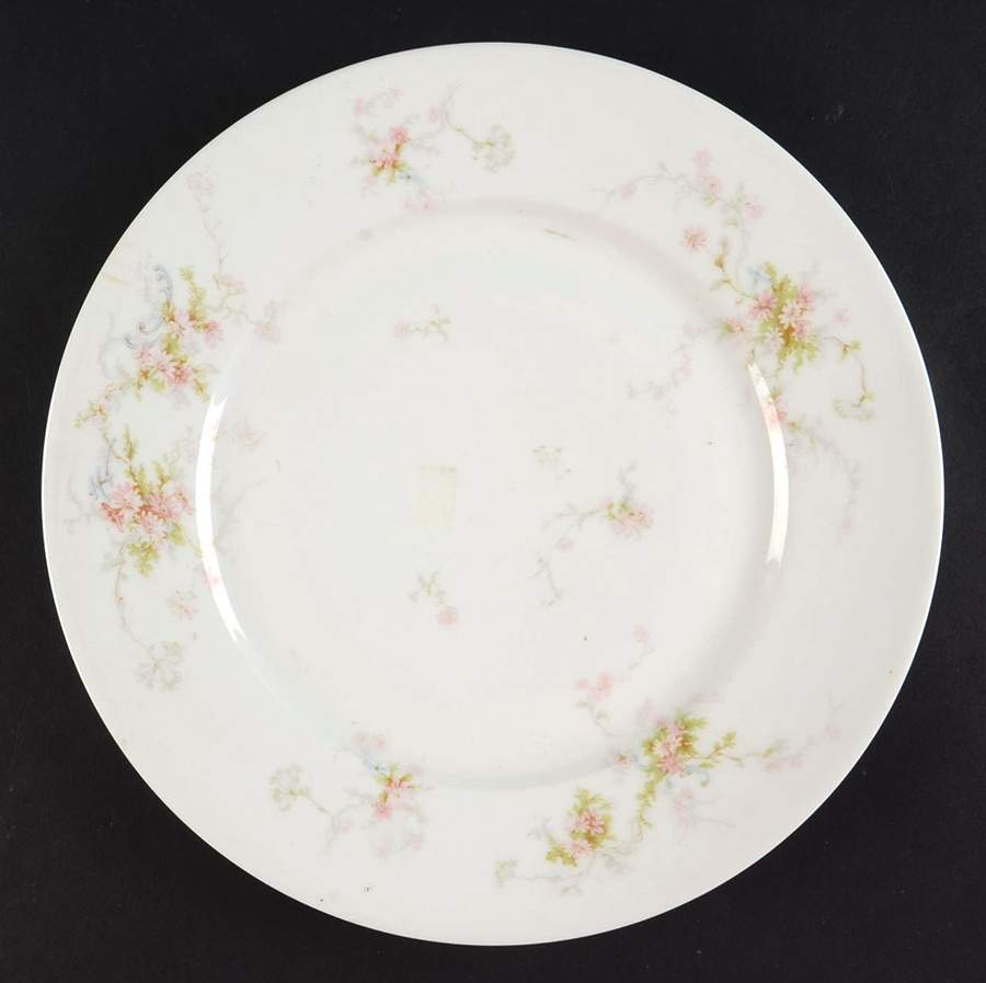 Schleiger 839 Luncheon Plate by Haviland-1