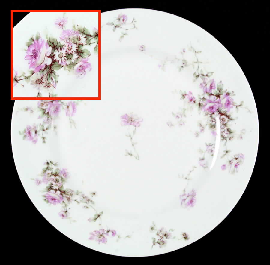 Schleiger 840 Luncheon Plate by Haviland-1
