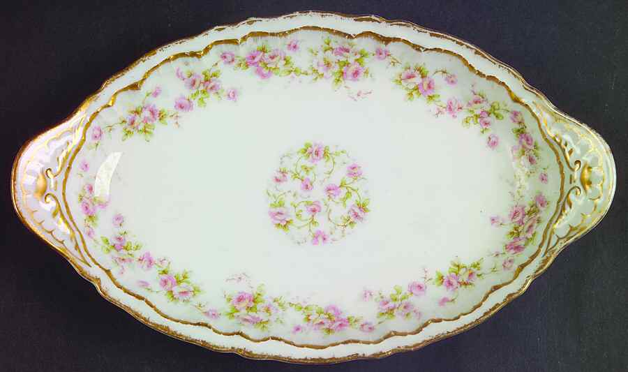 Schleiger 844 Relish by Haviland-1