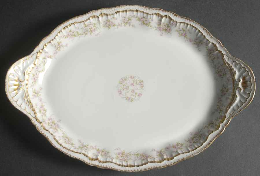 Schleiger 844 14" Oval Serving Platter by Haviland-1