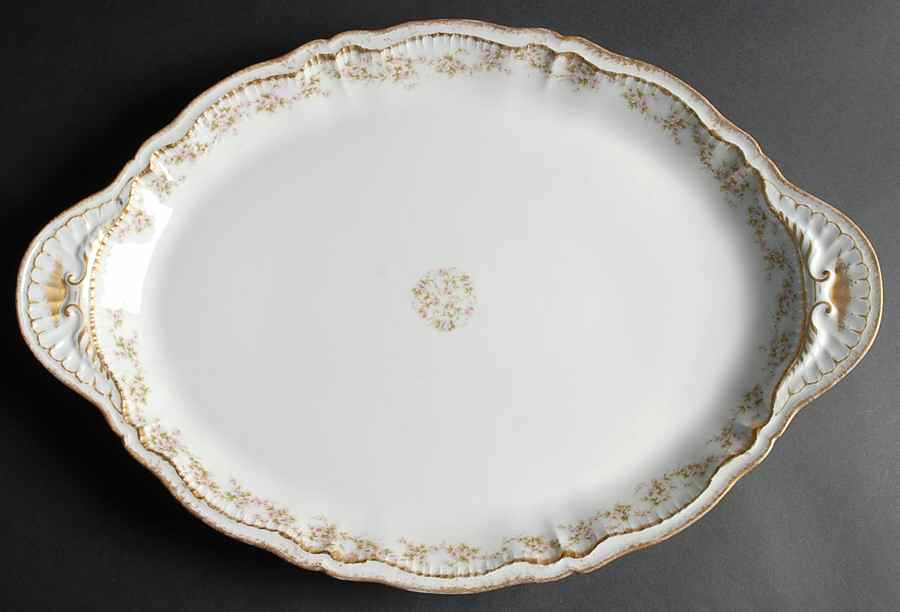 Schleiger 844 20" Oval Serving Platter by Haviland-1