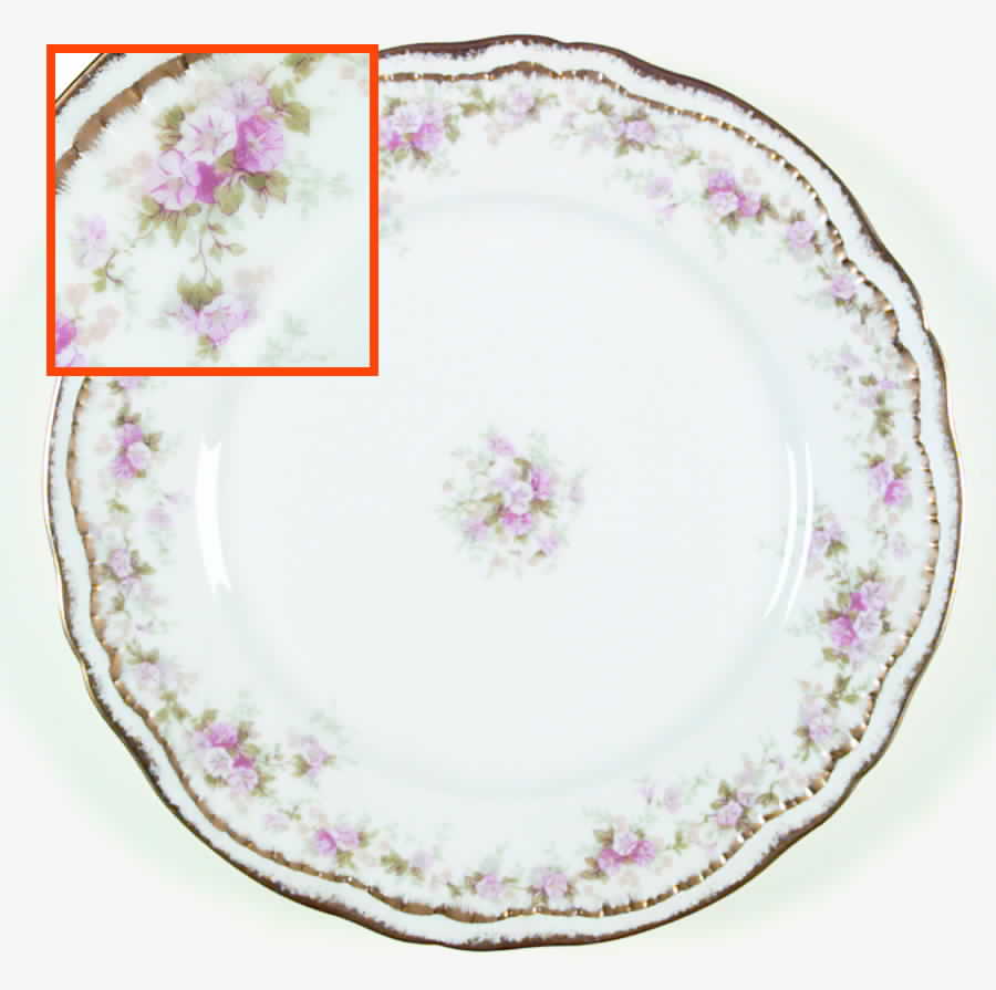 Schleiger 855A Dinner Plate by Haviland-1