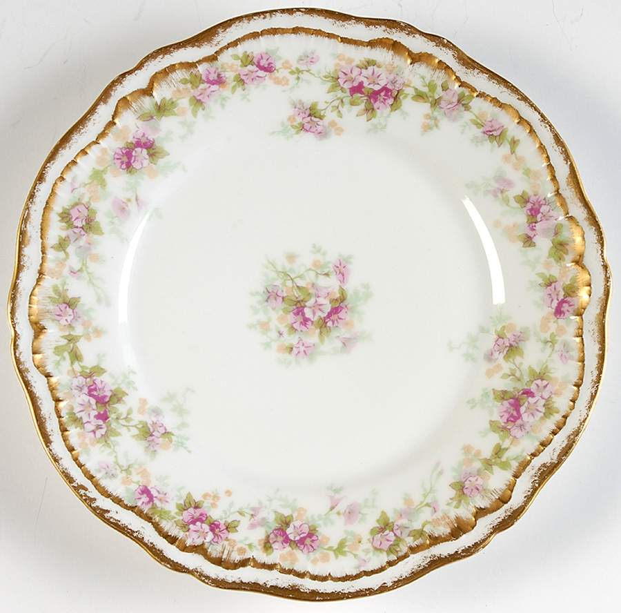 Schleiger 855A Salad Plate by Haviland-1