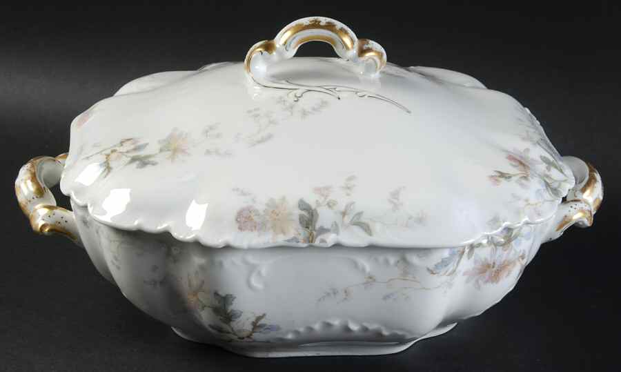 Schleiger 86 Square Covered Vegetable by Haviland-1