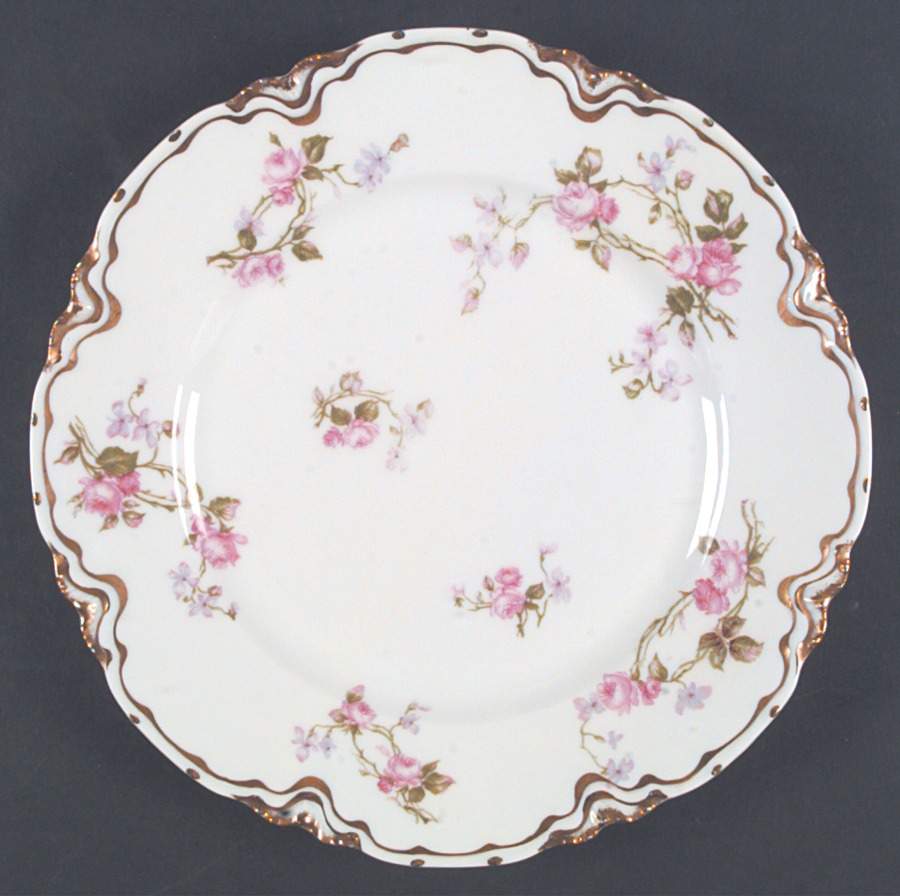 Schleiger 87D Dinner Plate by Haviland-1