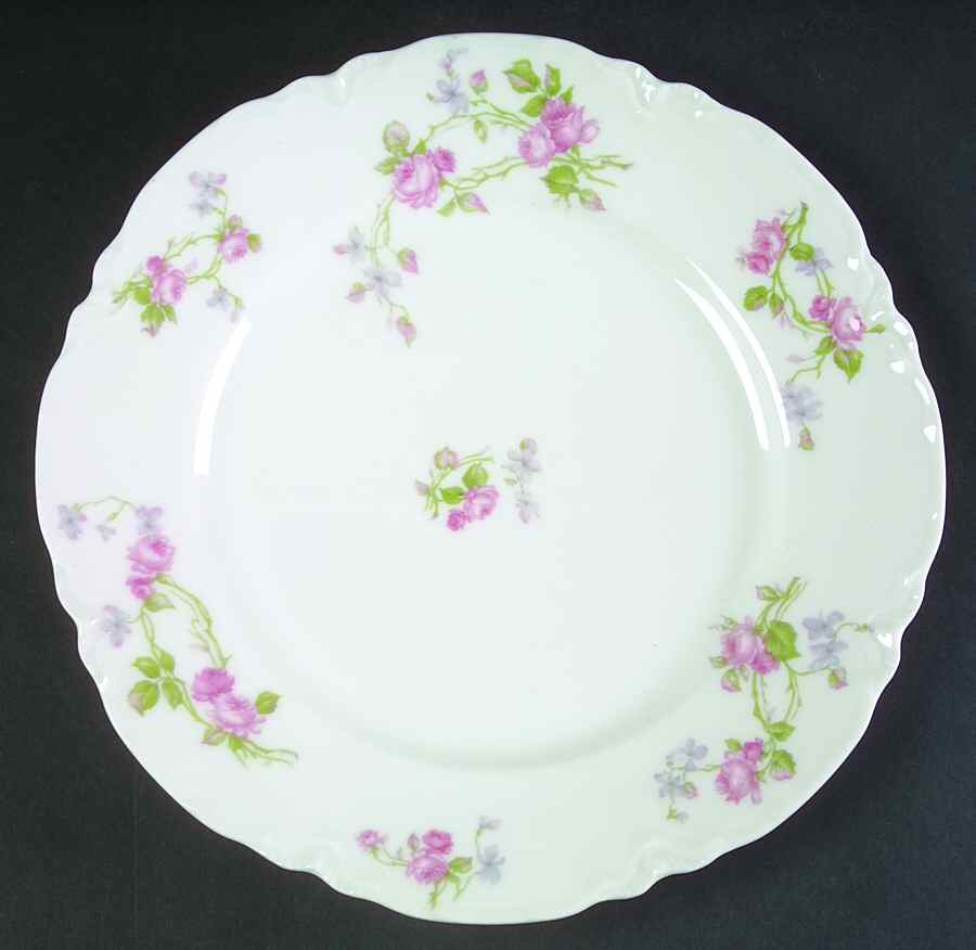 Schleiger 87g Dinner Plate by Haviland-1
